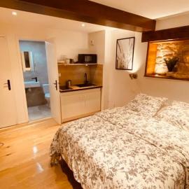 Studio rénové avec patio, coeur du centre ville, hotel in Besançon