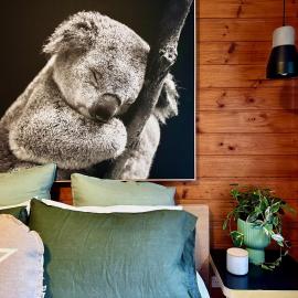 Kangaroo Valley Timber Cabin, hotel in Kangaroo Valley