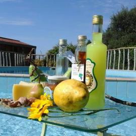 Agriturismo Castanito, Hotel in Vico Equense