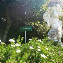 il Motto di Tommy, hotel in Castelveccana