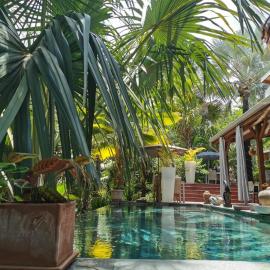 Lodge Palmae - Lodge de charme avec Jacuzzi Privatif en Option - Adults Only, hotel a Saint-Pierre