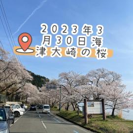 高島市一棟貸切 Biwa Lake琵琶湖 徒歩1分 大人数でご利用だとお得連泊がお得BBQ可能自転車貸出可, hotell i Takashima