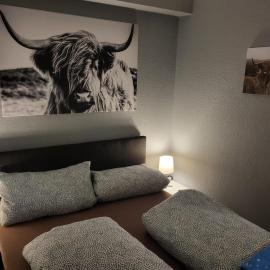 Kappeln Zentrum Möwennest, Hotel in Kappeln