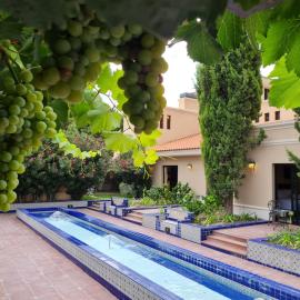 Casa Agostino - Luxury wine resort