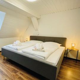 Apartment Rheingold, Hotel in Schwabach