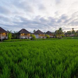 Uma Sebatu Villa Ubud, hotel em Tegalalang