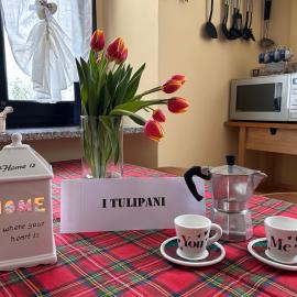 i tulipani