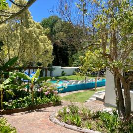 Tonquani - Knysna - Private Forest Retreat and Cottages