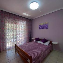 Orange Tree Apartment