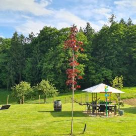 HOF-AREAL Südsteiermark Dein Ort für Poltergruppen & Hochzeiten