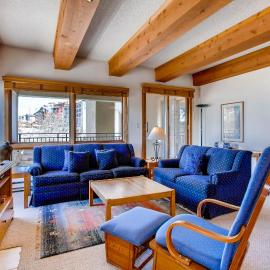 Large 2 Br With Open Floorplan Condo, Hotel in Crested Butte