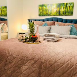 Luxury of aristocrats near airport and jumbo, hotel a Vantaa