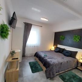 Pensiunea Ideal, hotel a Băile Borşa