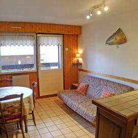 Appartement lumineux 2 pièces cabine, animaux admis, proche centre Samoëns - FR-1-629-22