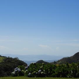 Campo Azul #3 - Monteverde