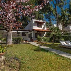 Pine Villa - NG Sani Villas – hotel w mieście Sani Beach