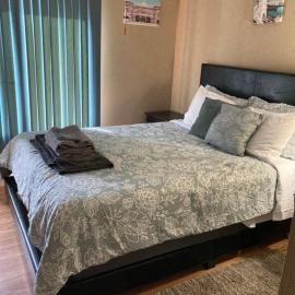 Irises House - private room in home, hotel in Kissimmee