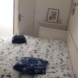 Chambre chez l'habitante avec salle de bain et cuisine communes - Présence d'un chat