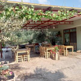Assos Gunoven & Butik Apart Otel, hotell i Ayvacık