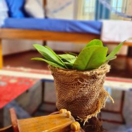SILVER RAIL, hotel in Galle