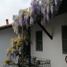 Delizioso appartamento in corte