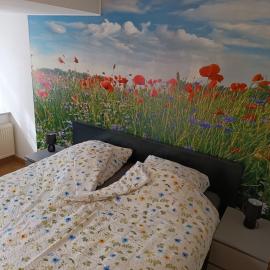 Lillie 3-4 Personen - Ferienwohnungen Wagner & Gaul Falkenauel, hotel di Falkenauel