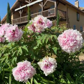 Lauberge de Nogaro – hotel w mieście Caupenne-dʼArmagnac