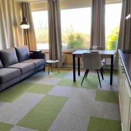 Veeriku Villa، فندق في تارتو