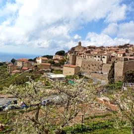 Appartamenti Giglio Castello, hotel a Giglio Castello