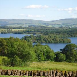The Mews - a cottage with a spectacular lake view