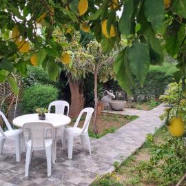 Elpida Lemon Garden House