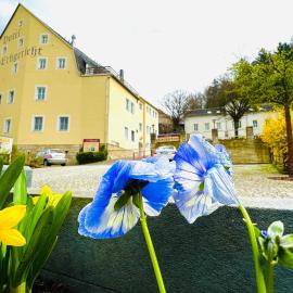 Hotel Erbgericht, hotel di Bad Schandau