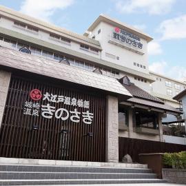 Ooedo Onsen Monogatari Premium Kinosaki, hotel a Toyooka