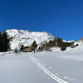 Vintage Norwegian Cabin Hyttekos i Lofoten, hotell i Valberg