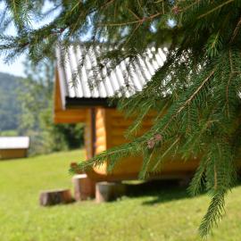 Small Bungalow - Tara Place, hotel in Mojkovac