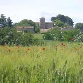 Mas du Crès, hotell i Galargues