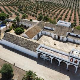 Cortijo Doñana, hotel in La Puebla de Cazalla