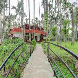Lazo Areca Resort , Coorg