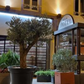 Logis Hotel Schaeffer- Restaurant Le Saint Georges, hotel en Serrières