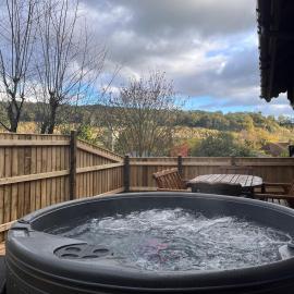 Countryside 3 Bedroom Log Cabin With Private Hot Tub - Ash