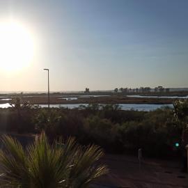 JARDINES DE ISLA CANELA By SIT ISLA CANELA -REF 125-
