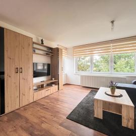 Apartmány Slavíkov - Superior Apartmán