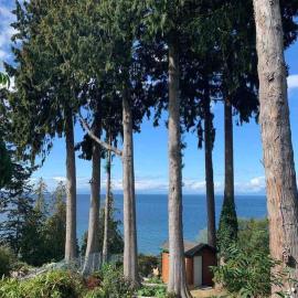 Waterfront Eagle's Nest - Family Friendly, Nanaimo, hotel in Nanaimo