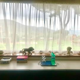 La stanza col giardino