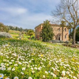 Holiday Home Podere Casina by Interhome