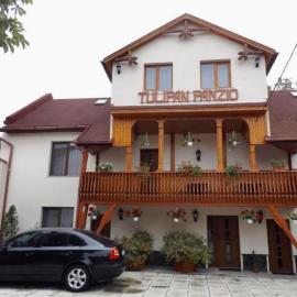Tulipán Panzió, hotelli kohteessa Sfântu Gheorghe