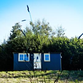 Oak Shepherds Hut, hotel in Wootton Fitzpaine