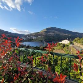 Folgosa में, होटल Casa dos Avós - Folgosa Douro
