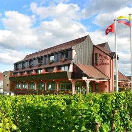 Logis Hôtel Le Ménestrel - chambres climatisées, hotel a Ribeauvillé