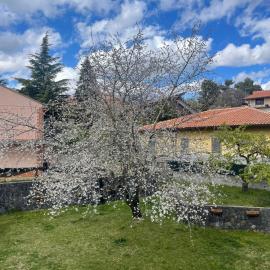 Etna sotto il ciliegio, hotel a Ragalna